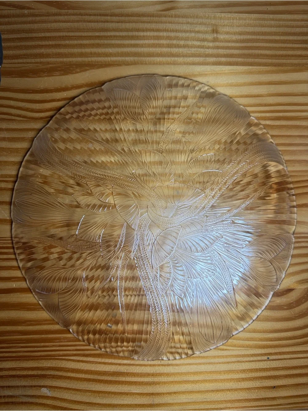 Vintage Arcoroc France Canterbury Crocus Clear Glass 2 - 11” Dinner Plates